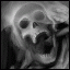 666stalker666