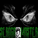 SerogaMASTER